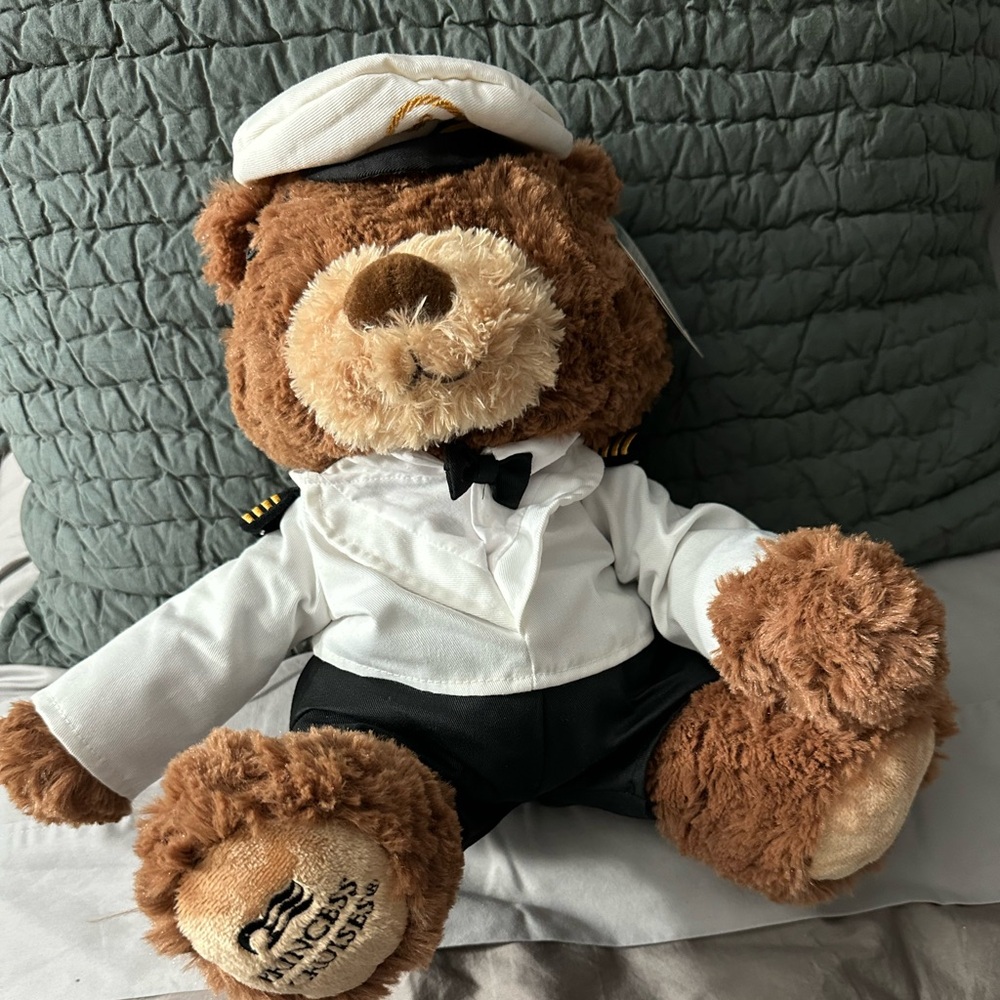 Plush Teddy Bear Stuffed Animal Captain 15” NWT NEW.
